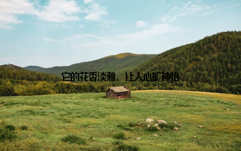 它的花香淡雅, 让人心旷神怡