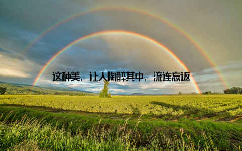 这种美, 让人陶醉其中, 流连忘返