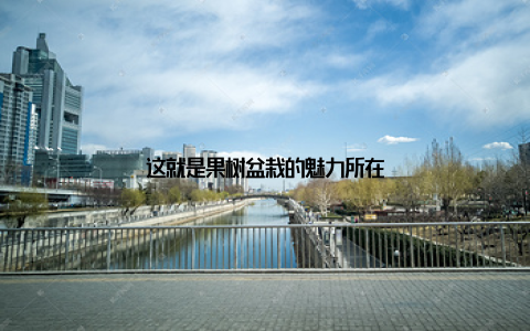 这就是果树盆栽的魅力所在