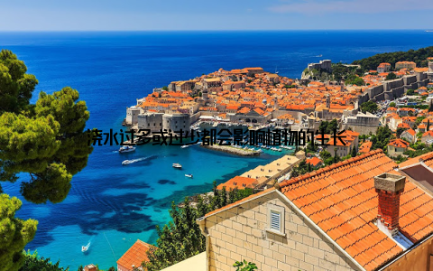 浇水过多或过少都会影响植物的生长