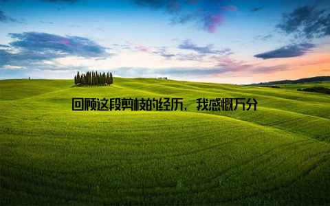 回顾这段剪枝的经历, 我感慨万分