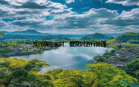 发现病虫害时, 要及时进行处理