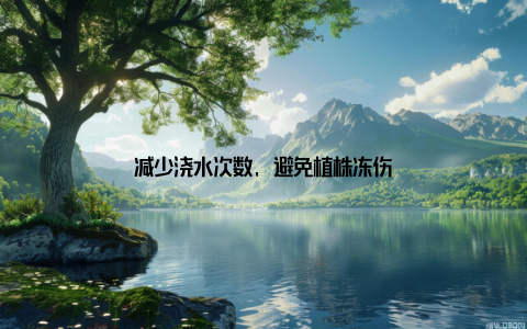 减少浇水次数, 避免植株冻伤