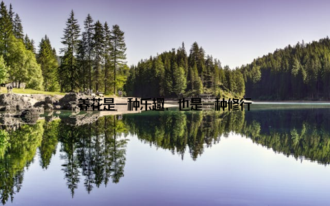 养花是一种乐趣, 也是一种修行