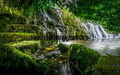 同时, 注意预防病虫害的发生