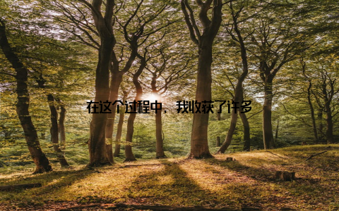 在这个过程中, 我收获了许多