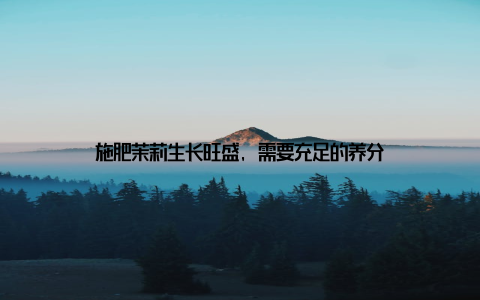 施肥茉莉生长旺盛, 需要充足的养分