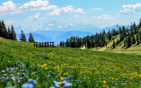 花盆栽花, 让生活变得更加美好