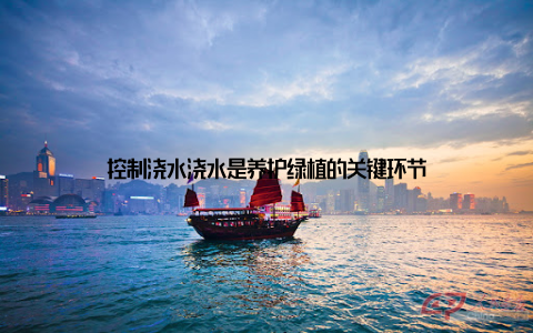 控制浇水浇水是养护绿植的关键环节