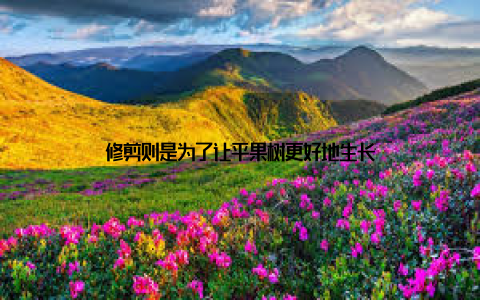 修剪则是为了让平果树更好地生长