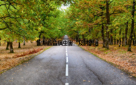 定期检查病虫害, 及时防治