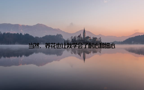 当然, 养花也让我学会了耐心和细心