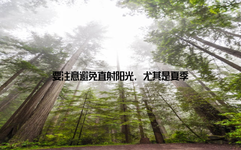 要注意避免直射阳光, 尤其是夏季