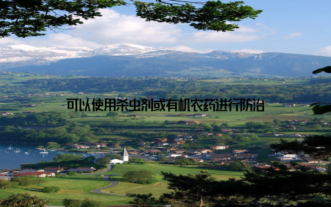 可以使用杀虫剂或有机农药进行防治