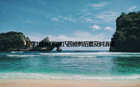 月季盆栽修剪技巧四修剪后要及时消毒