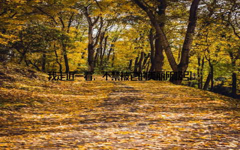我走近一看, 不禁被它的美丽所吸引