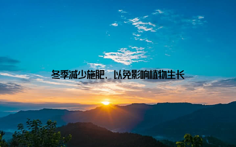 冬季减少施肥, 以免影响植物生长