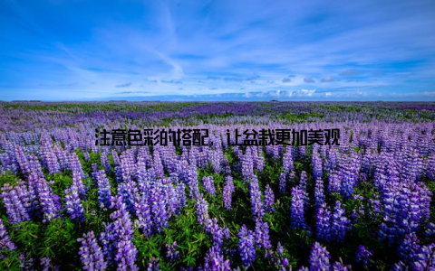 注意色彩的搭配, 让盆栽更加美观