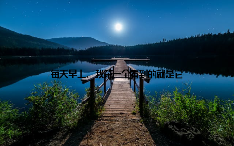 每天早上, 我第一个看到的就是它