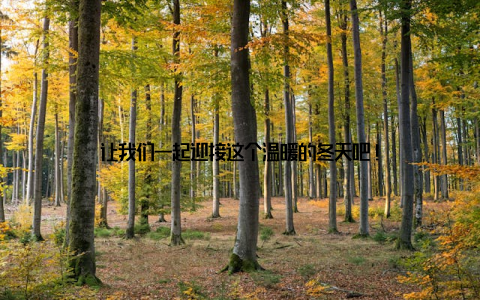 让我们一起迎接这个温暖的冬天吧!