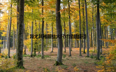 我尤其被那些大尺寸绿植吸引