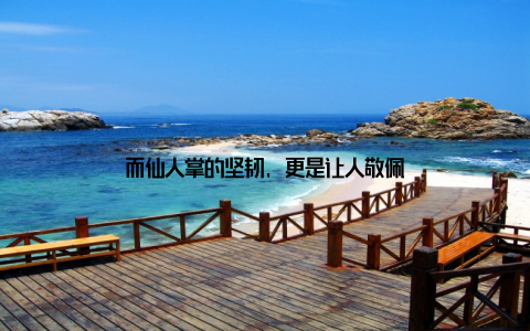 而仙人掌的坚韧, 更是让人敬佩