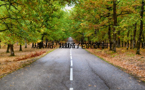 从那以后, 我就成了它的全职园丁