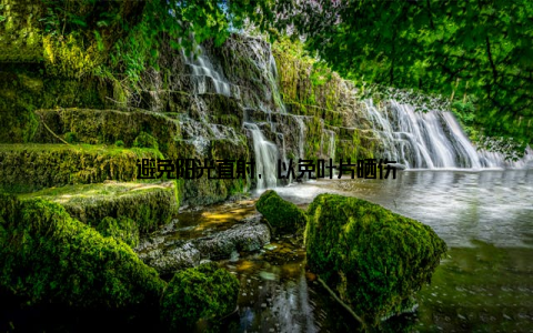 避免阳光直射, 以免叶片晒伤