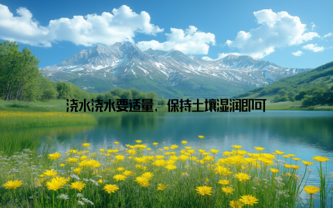 浇水浇水要适量, 保持土壤湿润即可