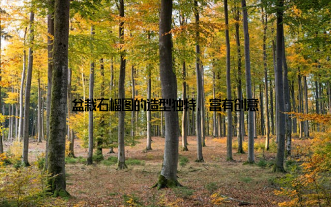 盆栽石榴图的造型独特, 富有创意