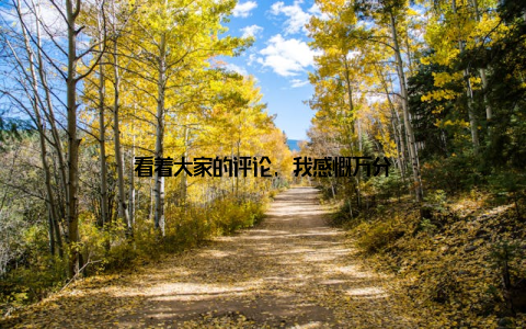 看着大家的评论, 我感慨万分