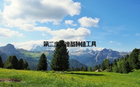 第二步, 准备种植工具