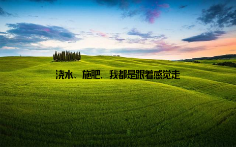 浇水、施肥, 我都是跟着感觉走