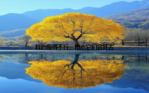 我心疼得不行, 担心它们会死去