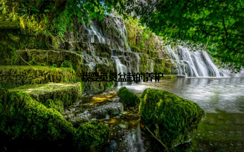 我要负责盆栽的养护