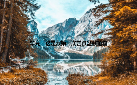 毕竟, 这是我第一次尝试盆栽植物