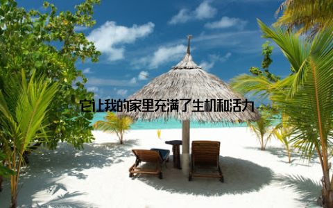 它让我的家里充满了生机和活力