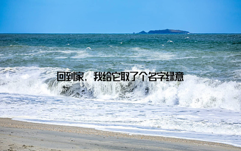 回到家, 我给它取了个名字绿意