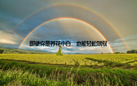 即使你是养花小白, 也能轻松驾驭