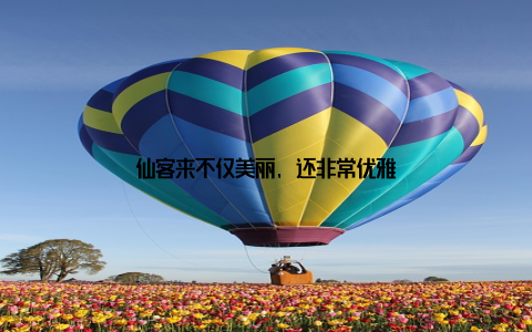 仙客来不仅美丽, 还非常优雅