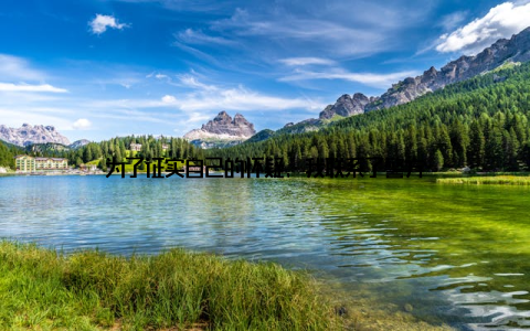 为了证实自己的怀疑, 我联系了警方