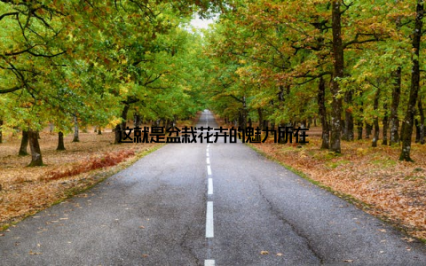 这就是盆栽花卉的魅力所在