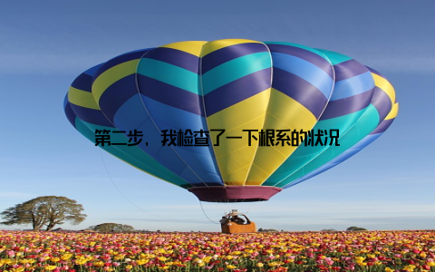 第二步, 我检查了一下根系的状况