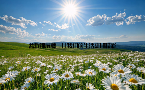 盆栽锦屏藤, 让我们的生活更加精彩