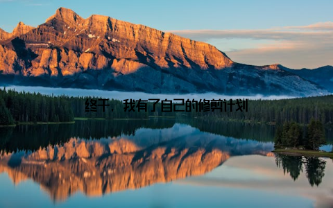 终于, 我有了自己的修剪计划