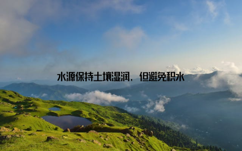 水源保持土壤湿润, 但避免积水