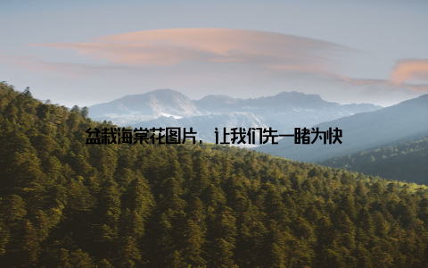 盆栽海棠花图片, 让我们先一睹为快