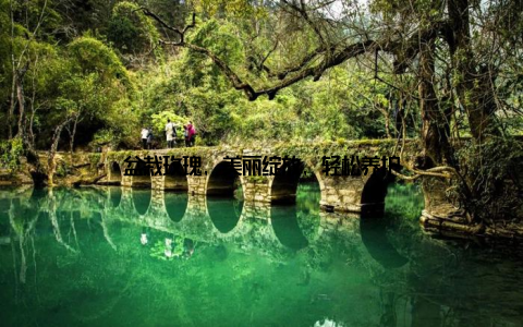 盆栽玫瑰, 美丽绽放, 轻松养护