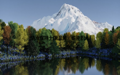 浇水保持土壤湿润, 避免积水