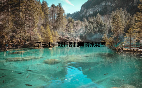 第三步, 我开始调整浇水频率